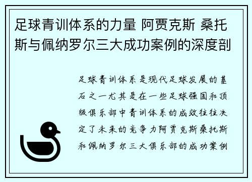 足球青训体系的力量 阿贾克斯 桑托斯与佩纳罗尔三大成功案例的深度剖析 足球青训体系的力量 阿贾克斯 桑托斯与佩纳罗尔三大成功案例的深度剖析